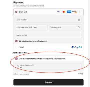 What is Shop Pay?