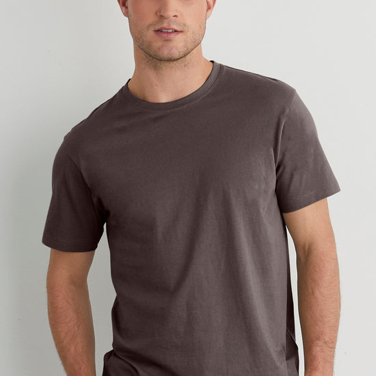 Men's 100% Organic Cotton Crew Neck T-Shirt - Iron